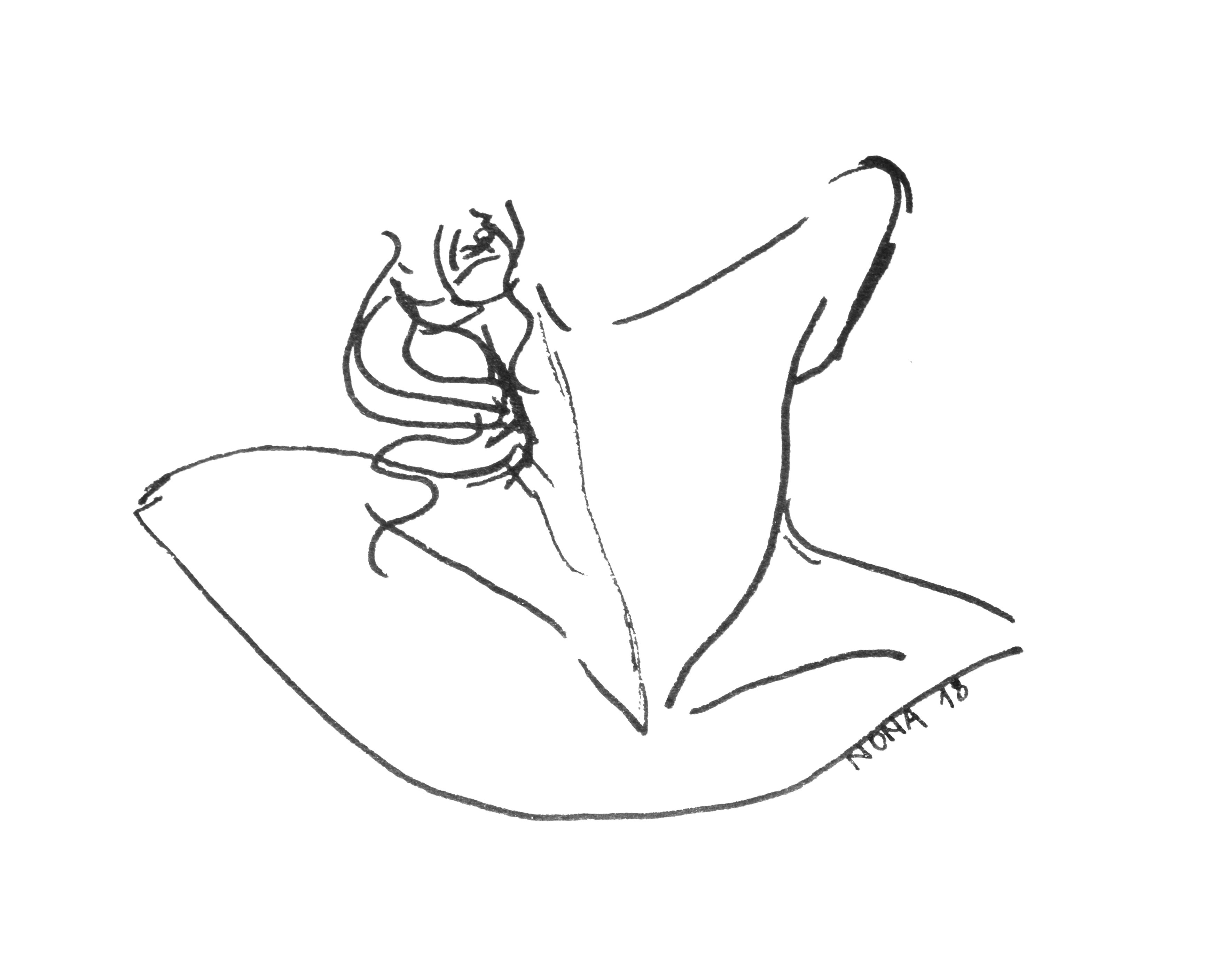 Nona2